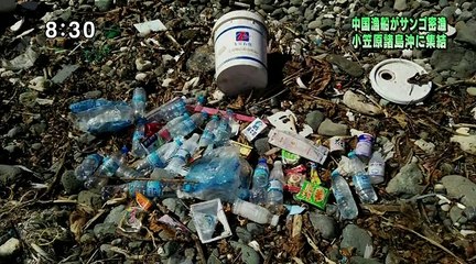 サイテーモーニング　▽追加金融緩和と年金運用変更の衝撃▽政治とカネ 141102