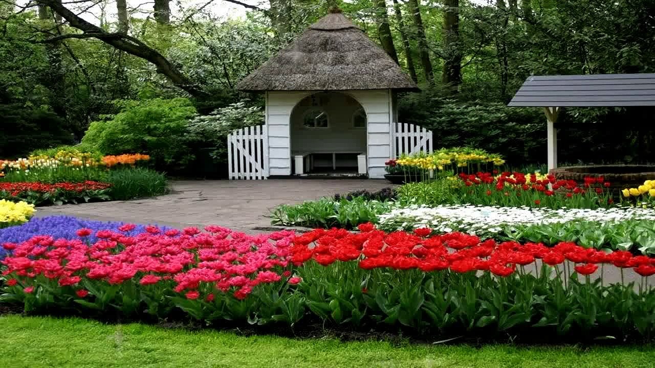 Main Madine Chala Main Madine Chala - Naat - Owais Raza Qadri - HD