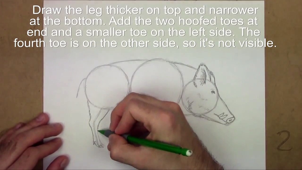 Karakalem Domuz Çizimi