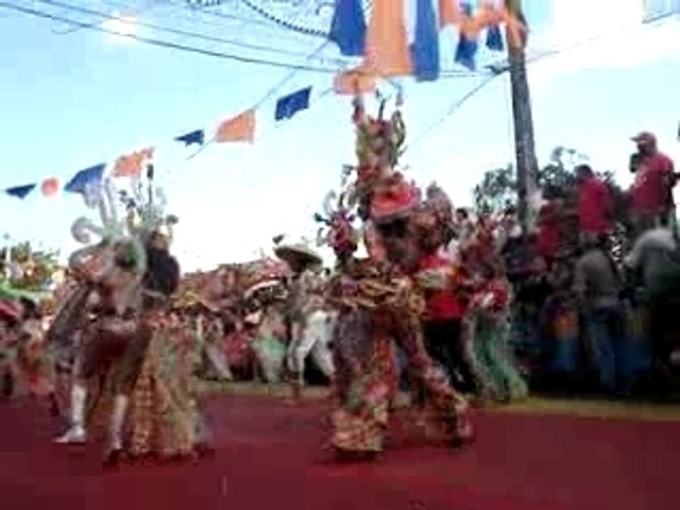 MOV01666