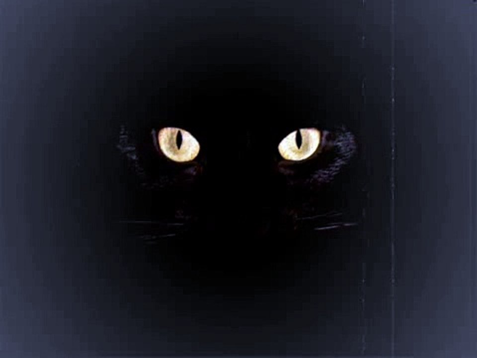 86 - El Gato Negro (Edgar Alan Poe) -Inicio-
