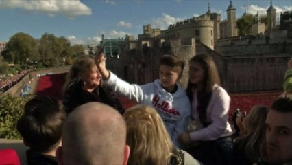 Une marée de coquelicots à la Tour de Londres