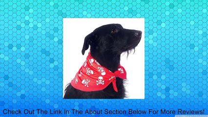 Rubies Costume Co Women's Grand Heritage Catwoman Costume Review