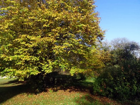 Promenade au Prieuré Notre-Dame et Saint Tniébault