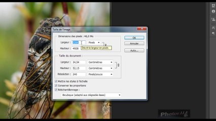 Photoshop et les Objets dynamiques
