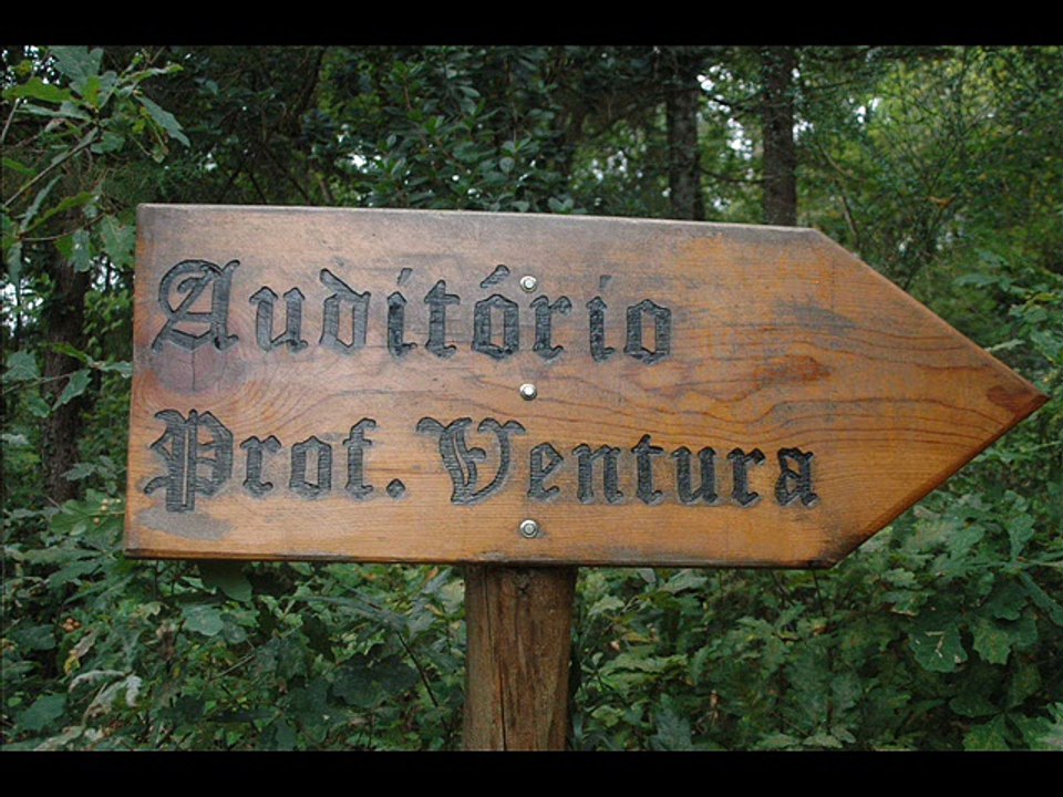 FUTURO ESPAÇO EXTERNATO ALVES MENDES ARGANIL