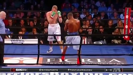 Andrzej Fonfara vs Doudou Ngumbu 01 11 2014