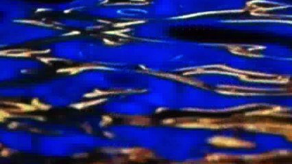 "2015, je serai un Colibri" - "2015, I will be a hummingbird"