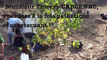 REPLANTER EN HOMMAGE A REMI-141102