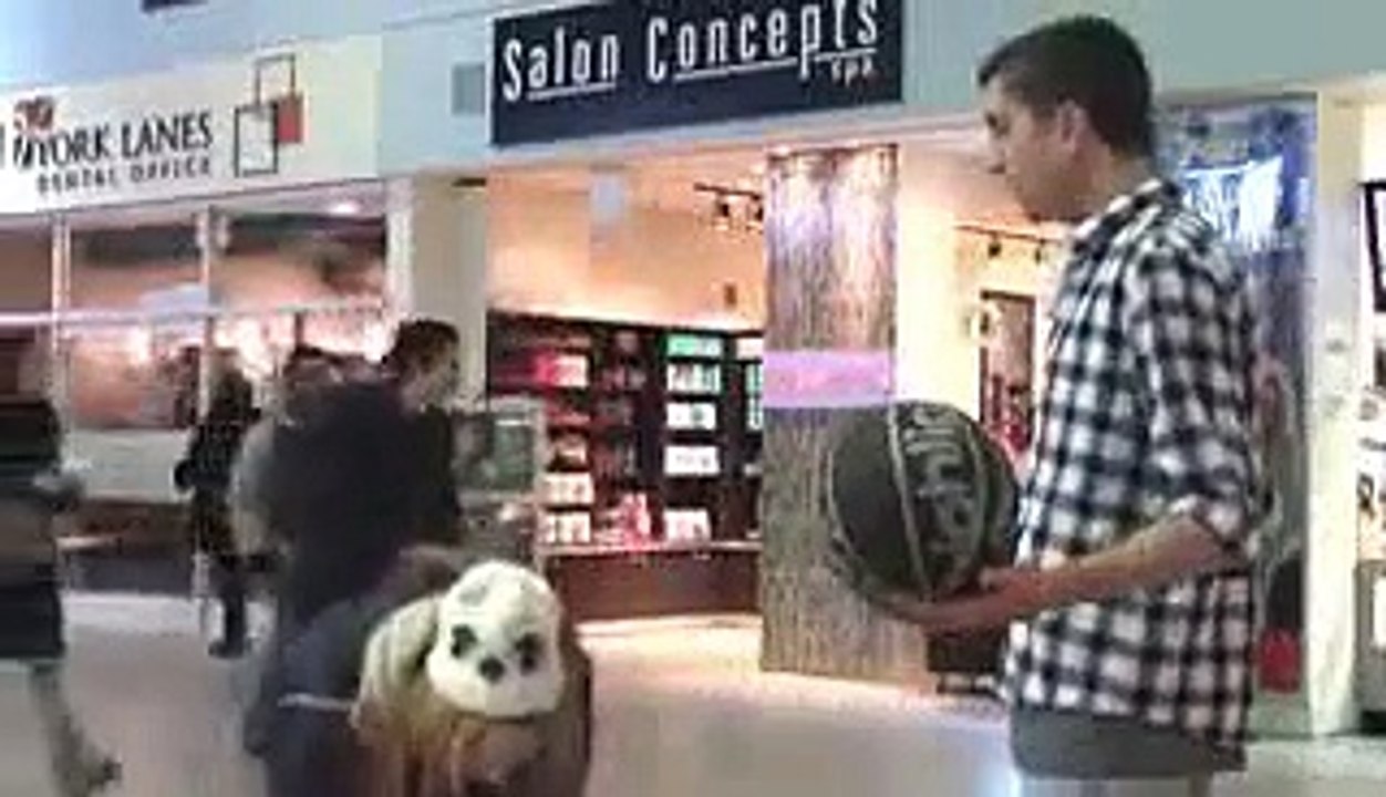 Basketball Kissing Prank - Kissing Prank in Public - Girls  Kissing Prank  -  Kissing Strangers BY NEW UNLIMITED funny videos c3