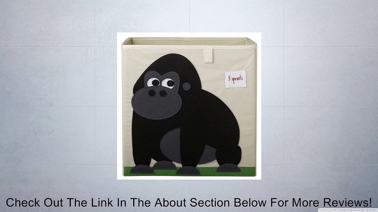 3 Sprouts Storage Box Review