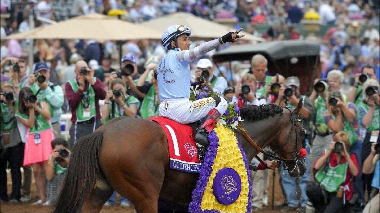 Breeders Cup 2014