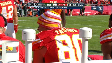 Instant Replay: Did Fasano cross the goal line?