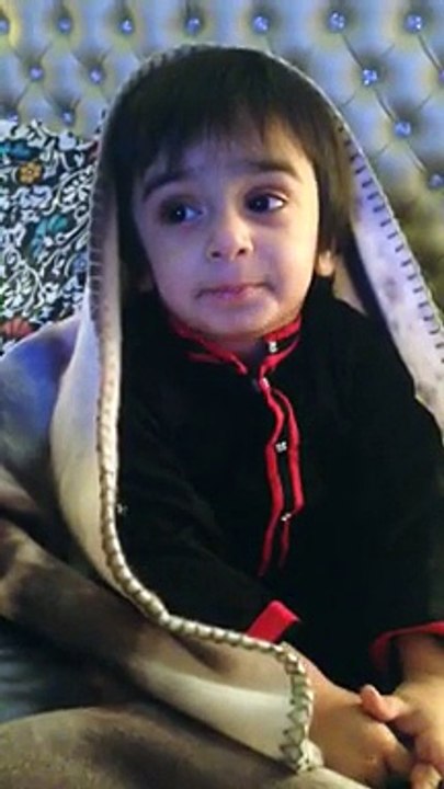 mohib