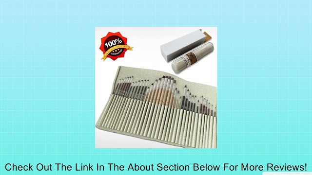 Paint Brushes for Oil, Acrylic & Watercolor - This Paint Brush Set Is for Beginners, Students & Professional Artists - 36 Piece Natural Hogs Hair Bristle, Goats Hair & Nylon in Flat & Round Paint Brushes - Free Canvas Pouch - 100% Money Back Guarantee!