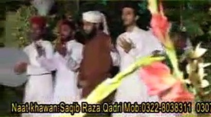 Main Tan Raj Raj Jashan Manawan by Saqib Raza Qadri