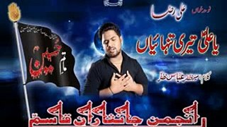 6. Ya Ali a.s tari tanhaya  Ali Raza nohay Vol: 2014/15 Anjuman Janisaran-e-Qasim