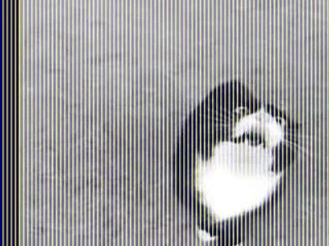 Şarkı söyleyen Kedi DjBurakUlus Remix 2014