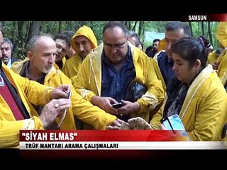 1 Kasım Ana Haber