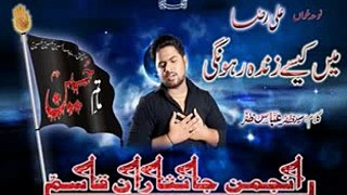 3. Main kasay zinda  Ali Raza nohay Vol: 2014/15 Anjuman Janisaran-e-Qasim