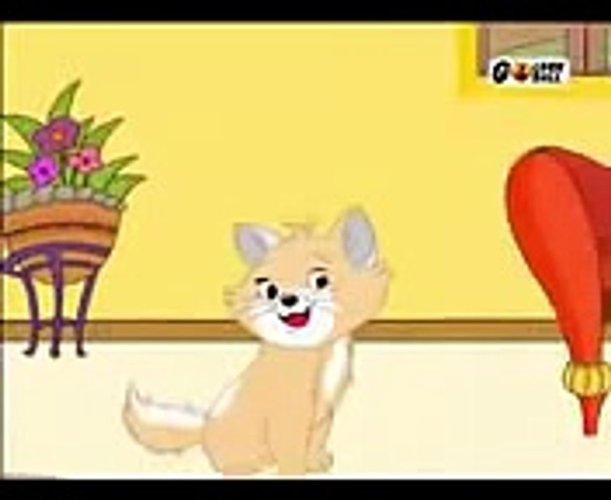 meow meow cat bole kisko khao3gp