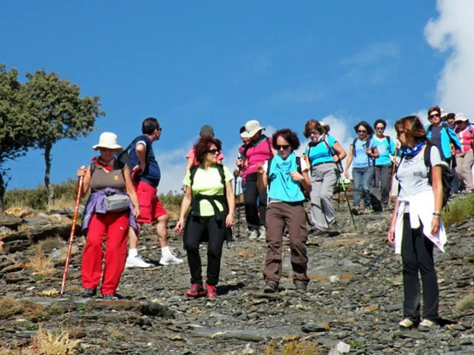Salida_02_11_2014