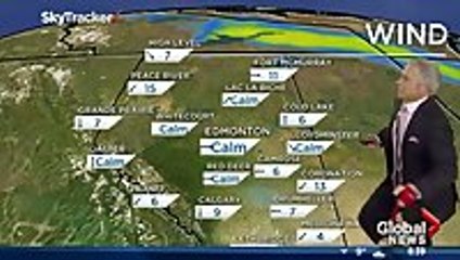 Ripple the dog doesn't care about Mike Sobel and the weather forecast