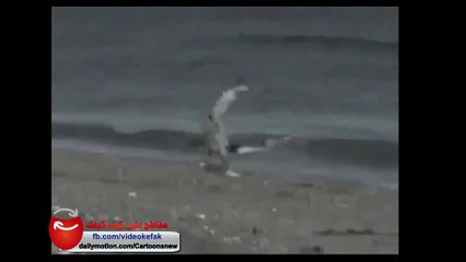 حوت يلتهم رجل بلمح البصر !!! شاهد بنفسك