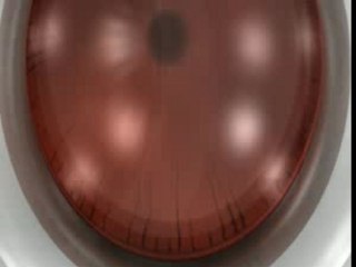 Introbot 2007 Eternity Studios