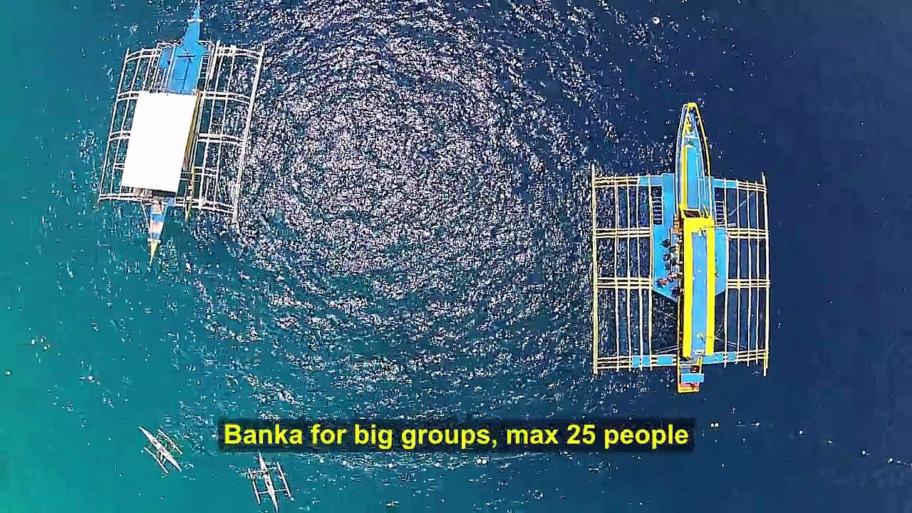 WHALESHARK-TRIP 2 final version