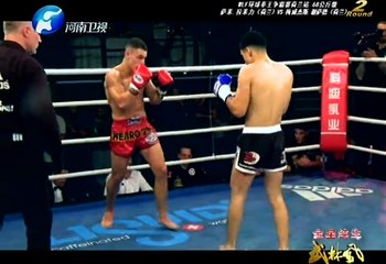 武林风 WLF环球拳王争霸赛荷兰站 20141101