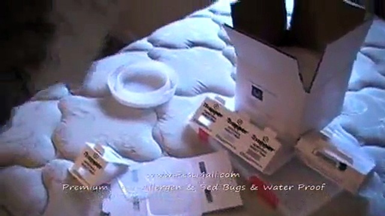 Recommendations on Controlling Bed Bugs