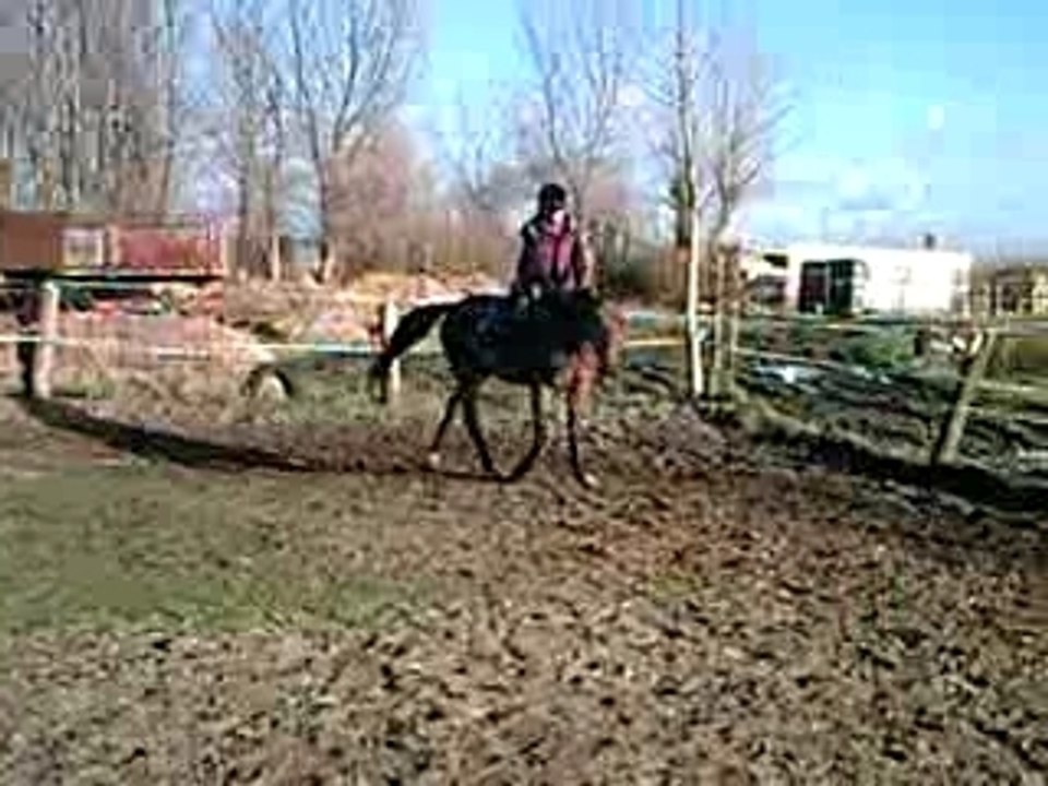 galop piste main droite