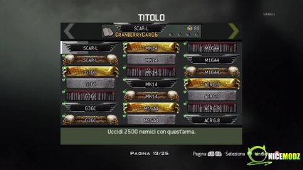 Mw3 God Mode / Invisible Classes + AUG [XBOX]