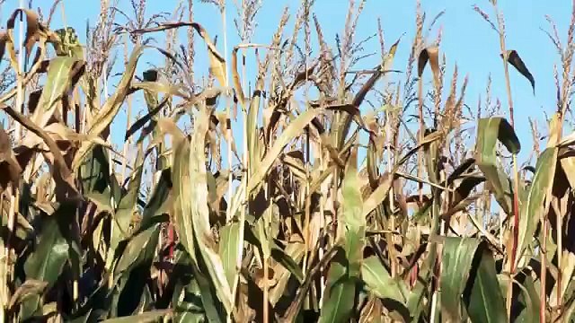 İleri Tarım Teknolojisi(Kesin İzle) - Tarım Günlükleri _ Facebook