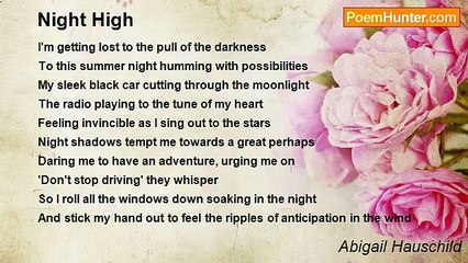 Abigail Hauschild - Night High