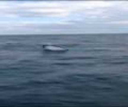 İstanbul'da tekne alabora oldu