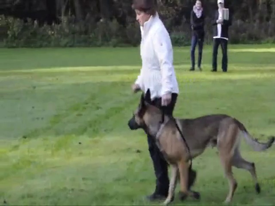 Be Aware Flash @ BH-Prüfung