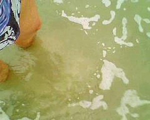 Praia da Enseada, Ubatuba, SP, Brasil, Marcelo Ambrogi, Saúde e Vida, 061