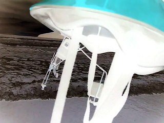 Praia da Enseada, Ubatuba, SP, Brasil, Marcelo Ambrogi, Saúde e Vida, 048