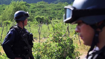 Crónica teleSUR: Ayotzinapa y el narcoestado en México