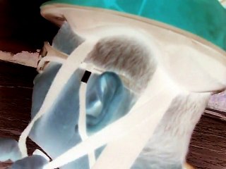 Praia da Enseada, Ubatuba, SP, Brasil, Marcelo Ambrogi, Saúde e Vida, 027