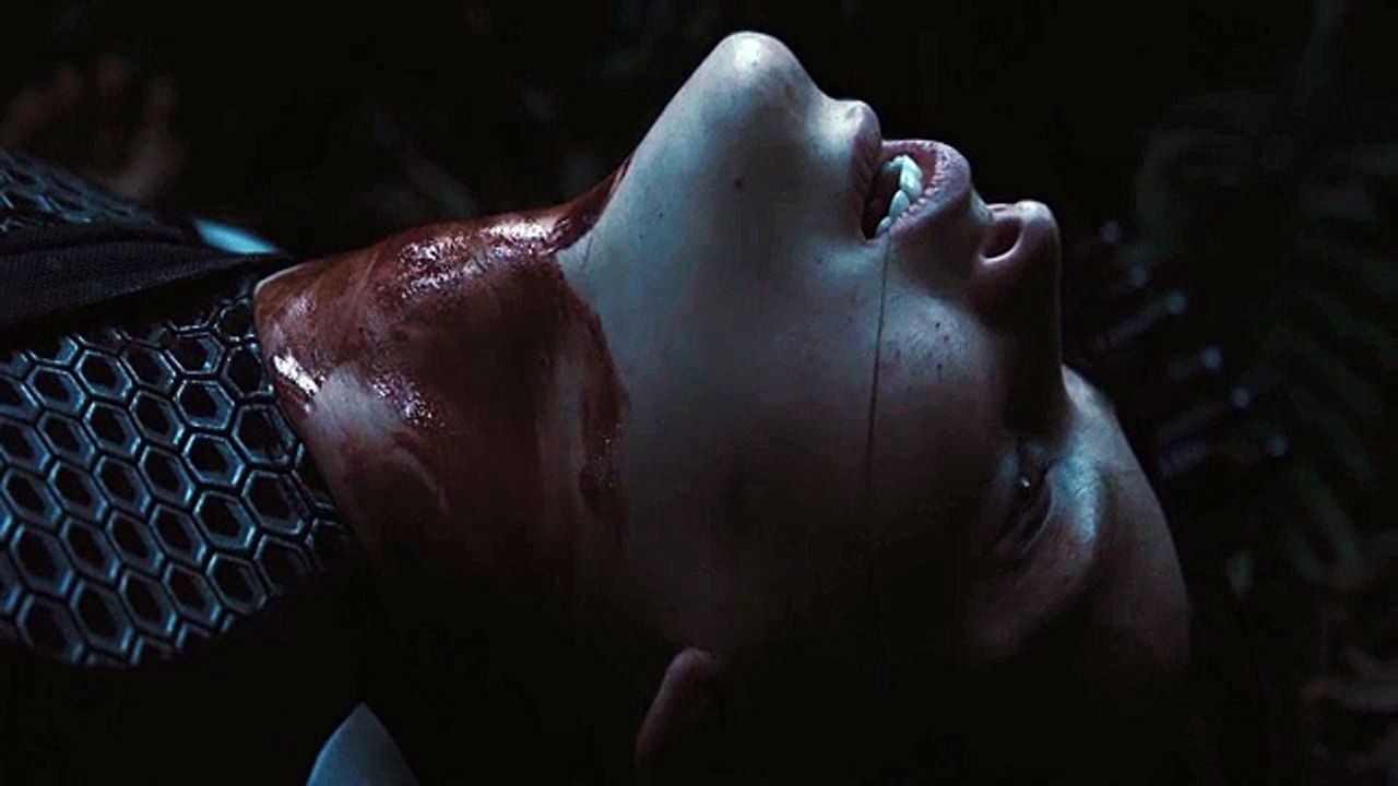 Enya : Amarantine (2005)