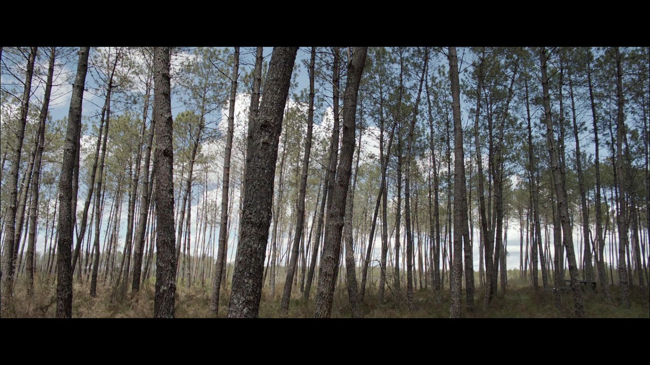 Landes: Teaser HD