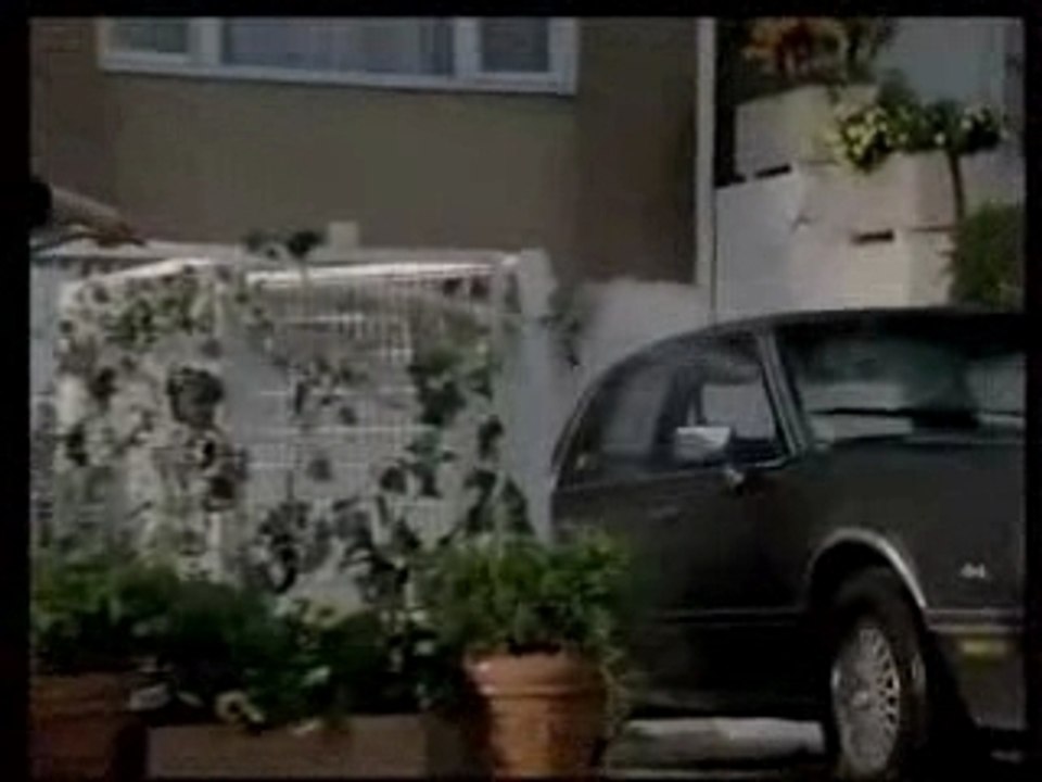 Le lapin Publivore - Auchan