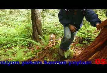 kavrun yaylasından ğüzellikler