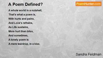 Sandra Feldman - A Poem Defined?