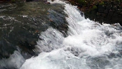 Plitvice Lakes National Park 16