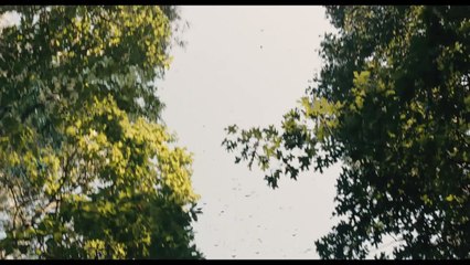 Noah: Extract 2 HD OV ned ond: It begins