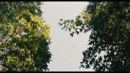 Noah: Extract 2 HD VO st fr: It Begins